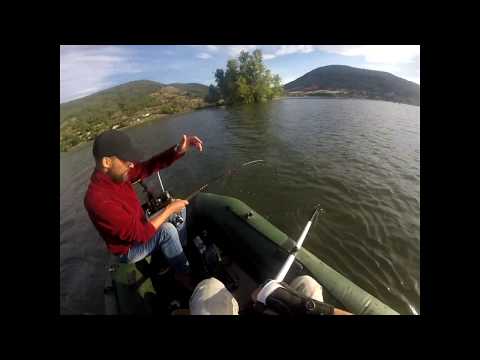 Видео: Ловля сома на квок.  Озеро.  Куриная  печень.