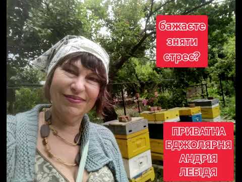 Видео: 25 липня 2025 р.