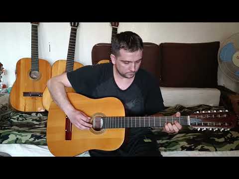 Видео: 12 струнна луначарка