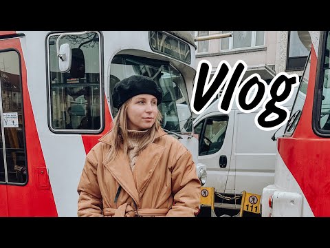 Видео: VLOG! БАРАХОЛКА: что купила? ПАРК В ШВЕТЦИНГЕН! БИБЛИОТЕКА: что читаю? ЗАМОК ХАЙДЕЛЬБЕРГ!