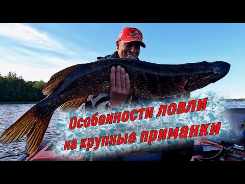 Видео: Рыбалка на КРУПНЫЙ СИЛИКОН. Мой опыт ловли, ОСОБЕННОСТИ!