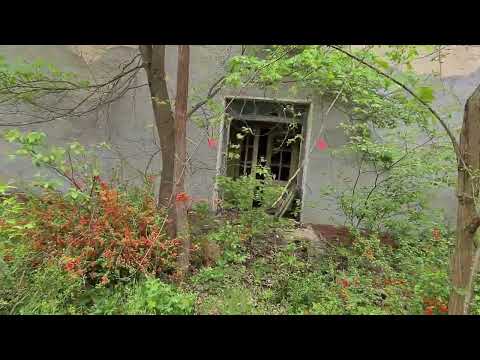 Видео: 💥Новый Планкен. Магдебургский полигон. ГСВГ. Германия. Planken. Deutschland. 2023