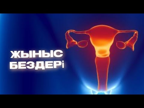 Видео: Жыныс бездері | Гармондар.               #ovarium # #гонада