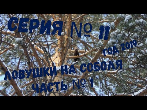 Видео: СЕРИЯ № 11. Взвожу путик, а рядом медведи!!! Шок!!!