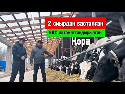 Видео: 50 бас Сауын Сиыр қорасы ( мини Молочная ферма)