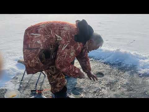 Видео: НОВЫЕ МЕСТА ! ВДАЛИ ОТ ВСЕХ ! 05.02.2025. Капшагай . Рыбалка .