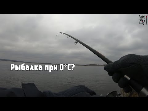 Видео: Фидер в холодное время года . Легендарный посёлок КЕЛЕБЕРДА.