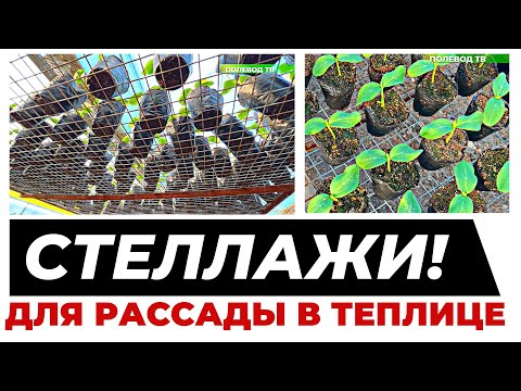 Видео: СТЕЛЛАЖИ ДЛЯ РАССАДЫ! #агробизнес #теплица #рассада #стеллаж