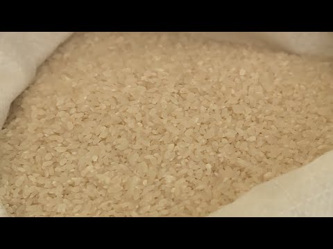 Видео: Елімізде күріш өндірісі төмендеді