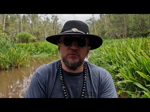 Видео: Орангутанги. Индонезия. Часть 2.