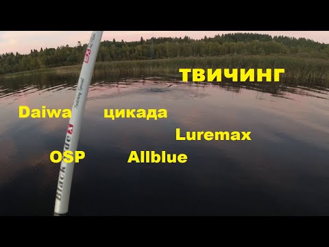 Видео: Твичинг. Daiwa. LureMax. OSP. Allblue. Цикада.