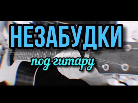 Видео: ПЕСНЯ ДО СЛЕЗ / Незабудки / дворовая песня под гитару(исп. Алексей Кракин)