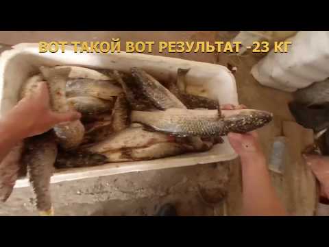 Видео: Пеленгас ходит по верху и не клюет, есть нехитрый монтаж - КЛЮНЕТ.