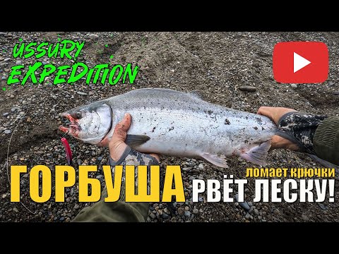 Видео: Рыбалка на горбушу! Рыба рвет леску и разгибает крючки!  Успевай вытаскивать дикую рыбу!