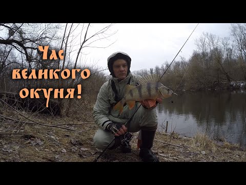 Видео: Мордаті ОКУНІ після сходу криги! Окунь та Щука на спіннінг!