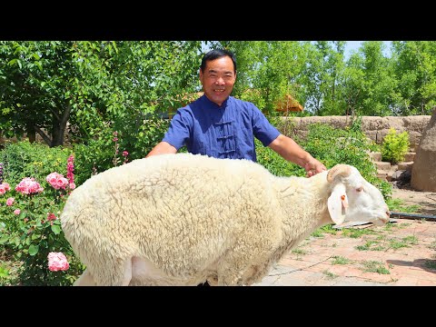 Видео: 150-килограммовый жирный баран, зажаренный до ночи! Хрустящая кожа покрывает сочное мясо! ТАК ХОРОШО