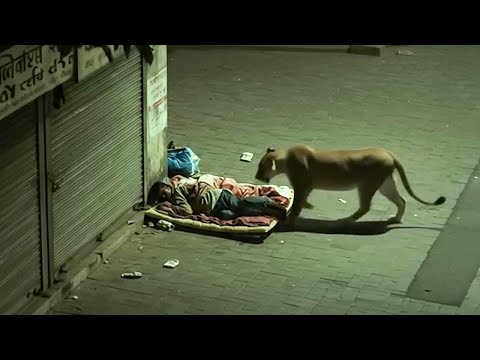 Видео: Это Действительно Было Снято на Камеру