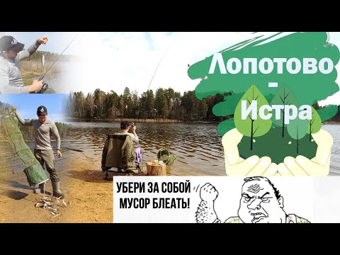 Видео: Весенний фидер Истринское водохранилище - Лопотово| Плотва и подлещик на фидер| Любите природу!