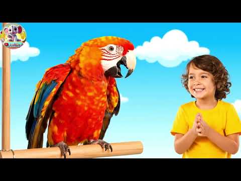 Видео: Нажмите на Красный Шарик, Прежде Чем Он | детская песенка | Nursery Rhyme for Kids | Baby Songs