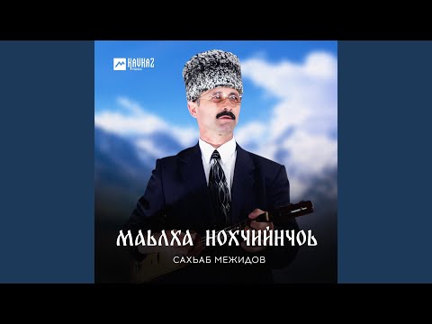 Видео: Собаре хилалахь