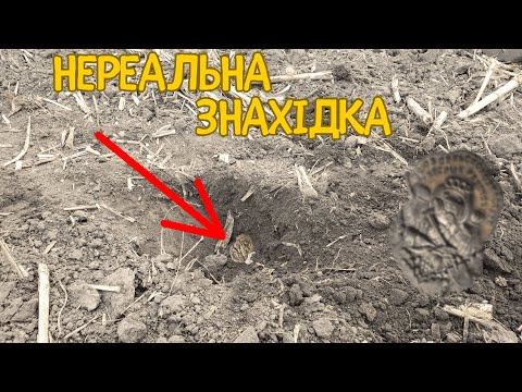 Видео: МЕГА ЗНАХІДКА НА ХУТОРІ 1800 РОКІВ | ПОШУКИ СТАРОВИНИ З МЕТАЛОШУКАЧЕМ