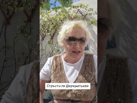 Видео: Страсти по Шереметьево #шереметьево #фильтрация
