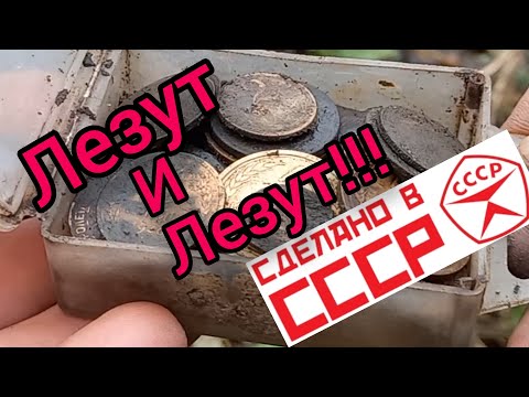 Видео: Лесной поиск  монет с XP DEUS 2.