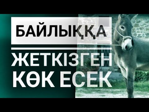 Видео: Алтын жүген туралы аңыз. Авторы Қуат АЙТҚАЛИ. Оқыған Базаркүл ҚАЛБЫР.