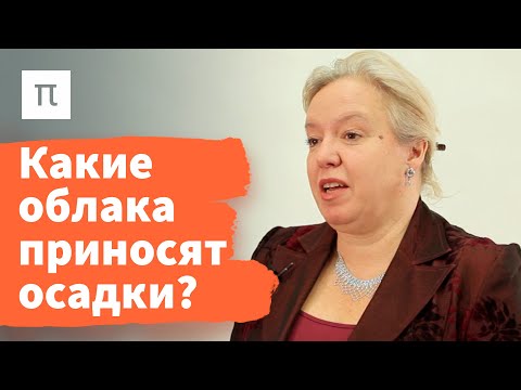 Видео: Осадки — Дарья Гущина / ПостНаука