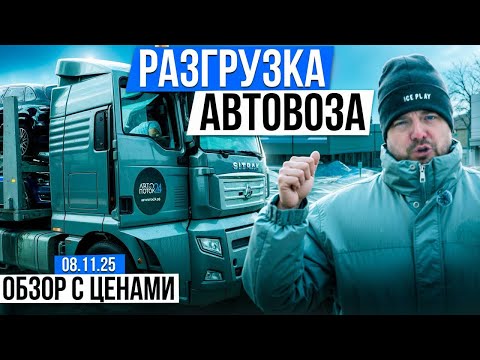 Видео: Разгрузка АВТОВОЗА из ВЛАДИВОСТОКА| взгляд изнутри на рабочий процесс 