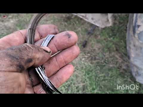 Видео: 9 октября 2025 г.