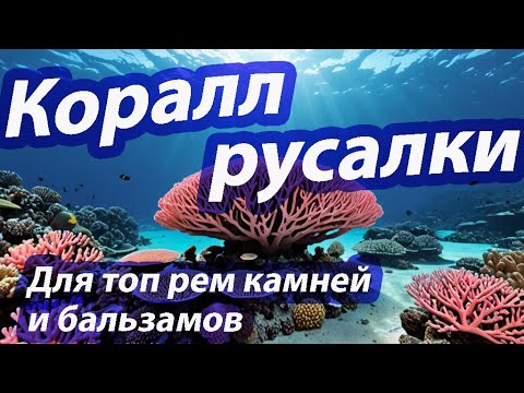 Видео: Black Desert(BDO). Коралл русалки [Для топ рем. камней и бальзамов]