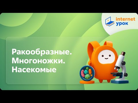 Видео: Биология 7 класс. Ракообразные. Многоножки. Насекомые
