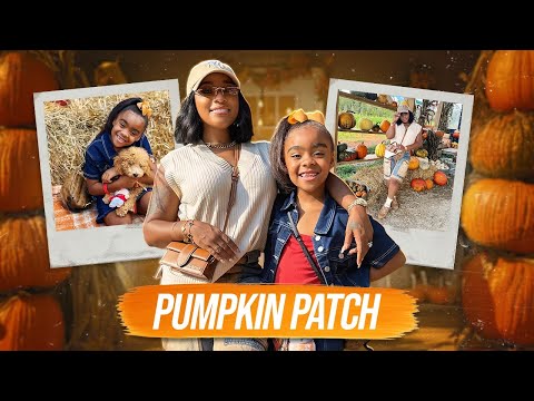 Видео: Тыквенная грядка с семьей🎃