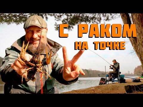 Видео: Об ЭТОМ молчат ПРОФИ! ОПАСНАЯ ДОБАВКА ВЕСНОЙ. Не делай этой ОШИБКИ!
