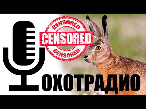 Видео: Охотрадио- ПРОБЛЕМЫ ТРАНСПОРТА НА ОХОТЕ И РЫБАЛКЕ-ТУДА НЕЛЬЗЯ!