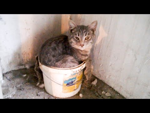 Видео: Пусконаладка лифтов в процессе модернизации (не вышедшие эпизоды)