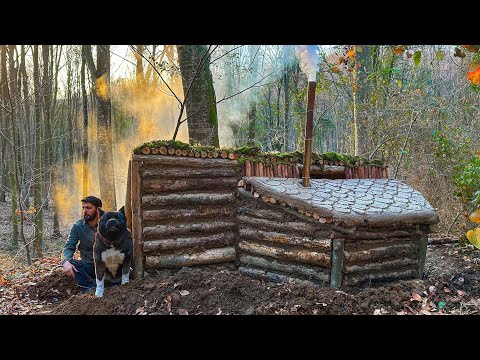 Видео: Постройка бревенчатого домика для 3-дневного ВЫЖИВАНИЯ В ДИКОЙ СРЕДЕ. Деревянный приют КЕМПИНГ ASMR