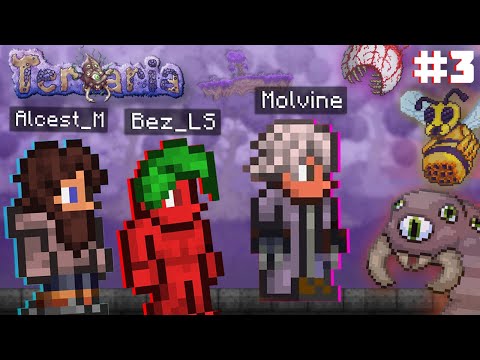 Видео: ОНИ УЖЕ ГОТОВЫ К БОССАМ | БЛС, МОЛВИН и АЛЬЦЕСТ в TERRARIA С МОДАМИ #3