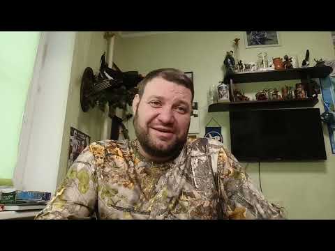 Видео: «По просьбе новгородцев рассказываю, как вести себя при встрече с волком».