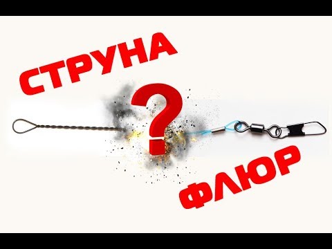 Видео: КАКОЙ поводок выбрать?  Флюр или струна?