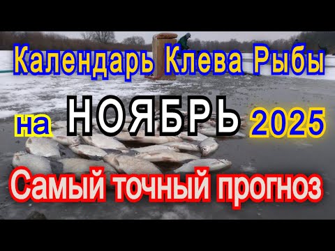 Видео: Календарь клева рыбы на ноябрь 2025 Прогноз клева рыбы Лунный Календарь рыбака 2025!