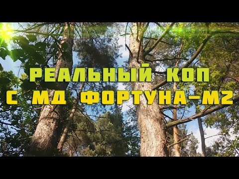 Видео: Реальный коп с  Фортуна-М2