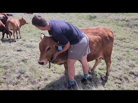 Видео: Время для обновления!