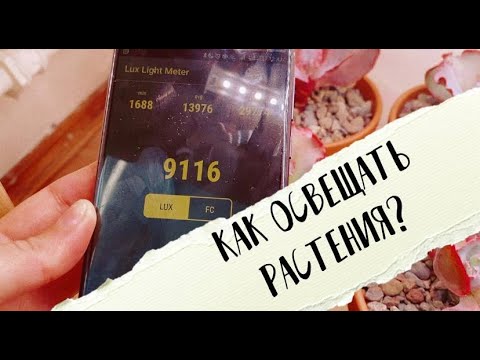 Видео: Подсветка для суккулентов. Замеряю эффективность!