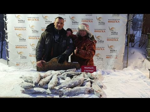 Видео: Это что-то, нереальный клёв. 39 кг форели на спиннинг в мороз🥶🥶😅👍