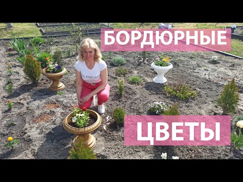 Видео: Самые красивые и неприхотливые бордюрные цветы вдоль дорожек