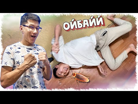 Видео: Прикольчикті аямай қинадым ГТА-дан (GTA V)