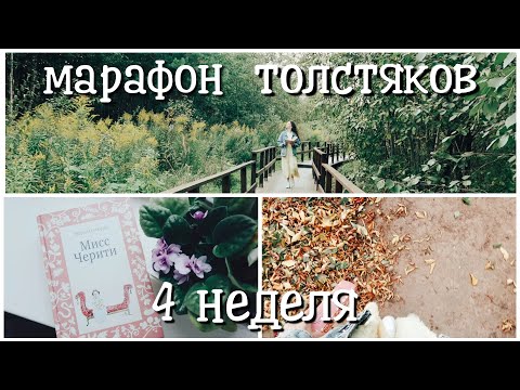 Видео: КНИЖНЫЙ МАРАФОН ТОЛСТЯКОВ || "МИСС ЧЕРИТИ" МАРИ-ОД МЮРАЙ