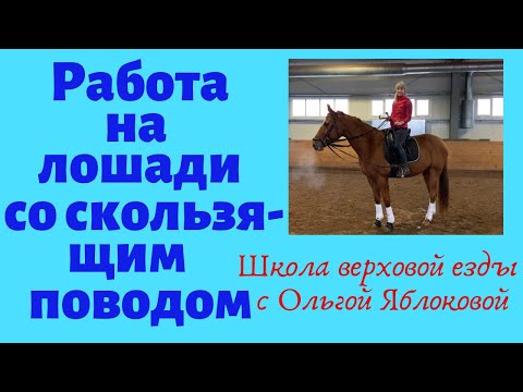 Видео: РАБОТА НА ЛОШАДИ СО СКОЛЬЗЯЩИМ ПОВОДОМ